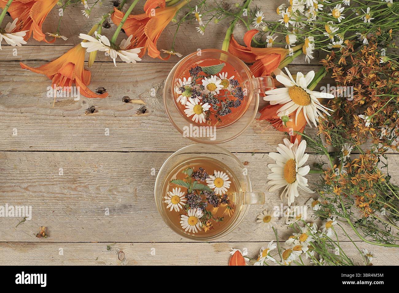 Camomilla e tè alle erbe alla menta, origano e hypericum, concetto di medicina alternativa, sfondo autunnale, set di piante medicinali, erbe selvatiche sono utilizzati Foto Stock