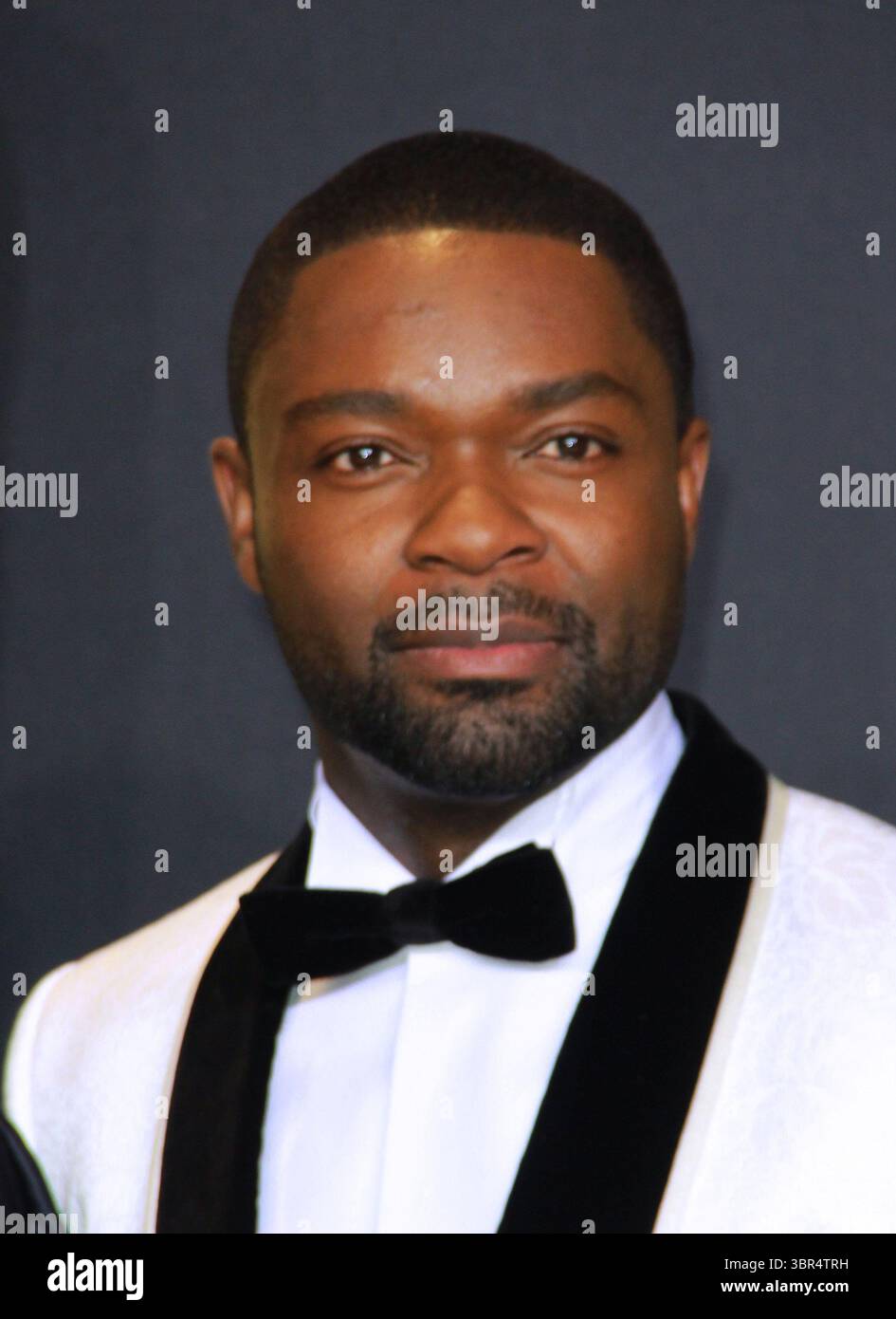26 febbraio 2017 - Hollywood, California, USA - David Oyelowo posa nella sala stampa durante la 89a edizione degli Academy Awards al Loews Hollywood Hotel il 26 febbraio 2017 a Hollywood, California. (Immagine di credito: © T. Lowe/ZUMA Wire) Foto Stock