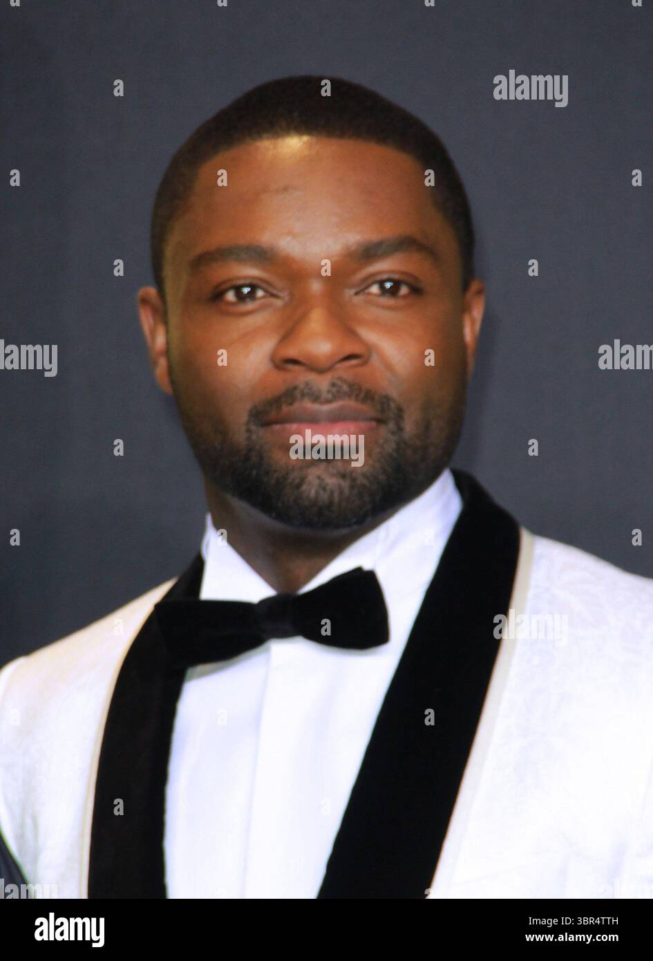 26 febbraio 2017 - Hollywood, California, USA - David Oyelowo posa nella sala stampa durante la 89a edizione degli Academy Awards al Loews Hollywood Hotel il 26 febbraio 2017 a Hollywood, California. (Immagine di credito: © T. Lowe/ZUMA Wire) Foto Stock