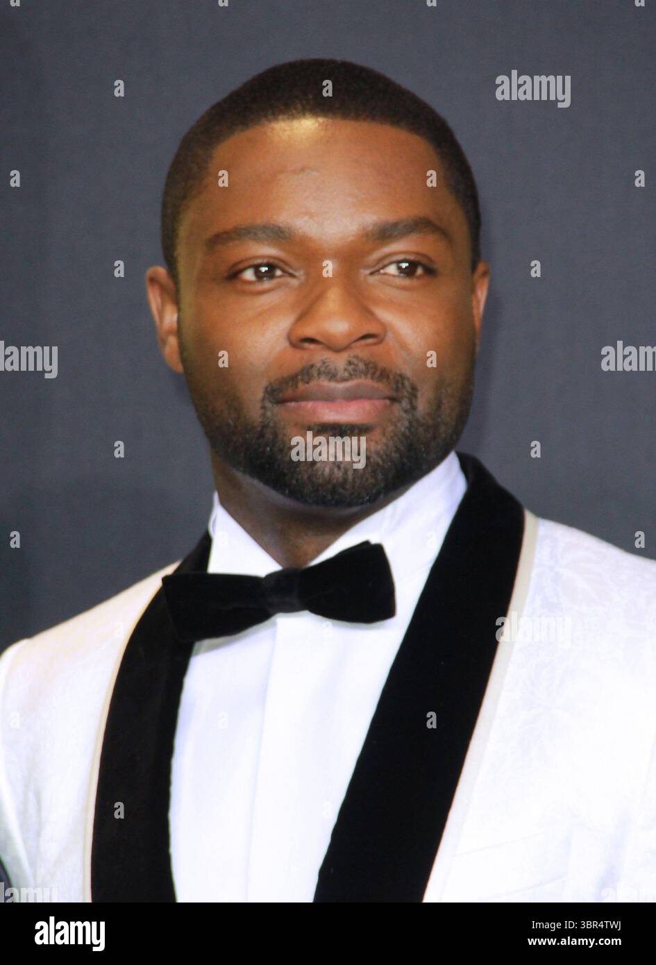 26 febbraio 2017 - Hollywood, California, USA - David Oyelowo posa nella sala stampa durante la 89a edizione degli Academy Awards al Loews Hollywood Hotel il 26 febbraio 2017 a Hollywood, California. (Immagine di credito: © T. Lowe/ZUMA Wire) Foto Stock