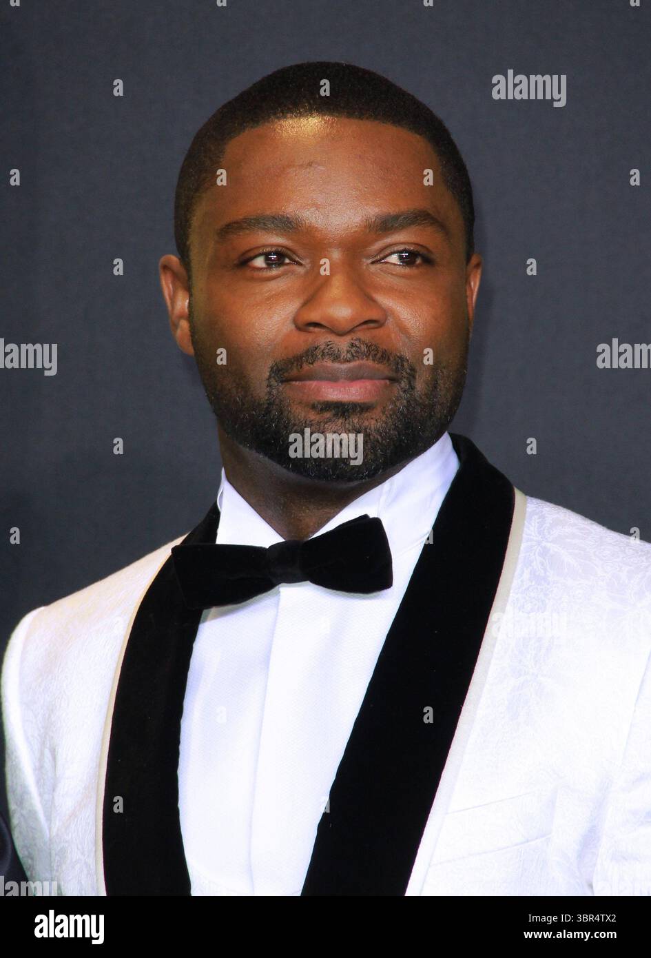 26 febbraio 2017 - Hollywood, California, USA - David Oyelowo posa nella sala stampa durante la 89a edizione degli Academy Awards al Loews Hollywood Hotel il 26 febbraio 2017 a Hollywood, California. (Immagine di credito: © T. Lowe/ZUMA Wire) Foto Stock