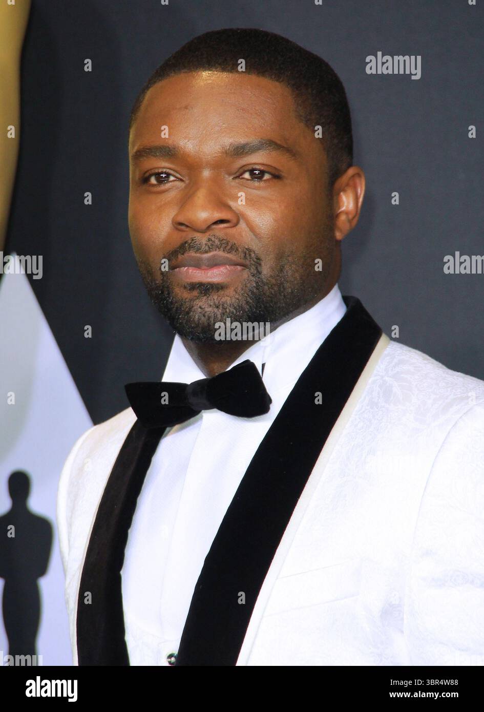 26 febbraio 2017 - Hollywood, California, USA - David Oyelowo posa nella sala stampa durante la 89a edizione degli Academy Awards al Loews Hollywood Hotel il 26 febbraio 2017 a Hollywood, California. (Immagine di credito: © T. Lowe/ZUMA Wire) Foto Stock