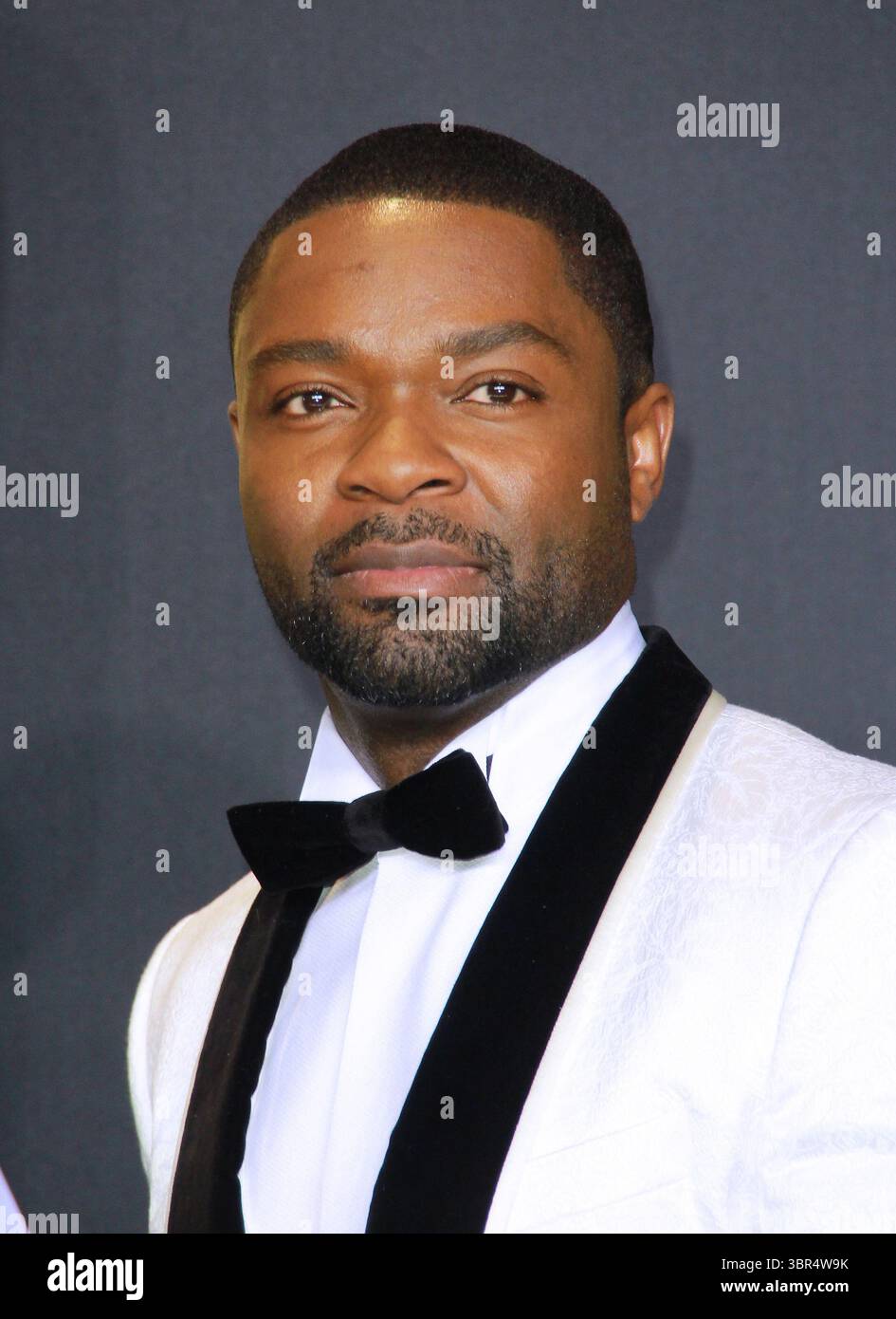 26 febbraio 2017 - Hollywood, California, USA - David Oyelowo posa nella sala stampa durante la 89a edizione degli Academy Awards al Loews Hollywood Hotel il 26 febbraio 2017 a Hollywood, California. (Immagine di credito: © T. Lowe/ZUMA Wire) Foto Stock