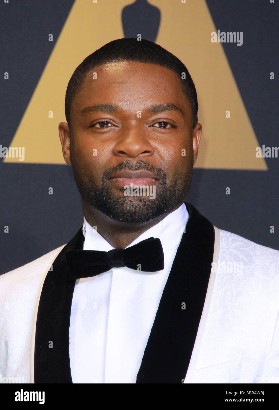 26 febbraio 2017 - Hollywood, California, USA - David Oyelowo posa nella sala stampa durante la 89a edizione degli Academy Awards al Loews Hollywood Hotel il 26 febbraio 2017 a Hollywood, California. (Immagine di credito: © T. Lowe/ZUMA Wire) Foto Stock