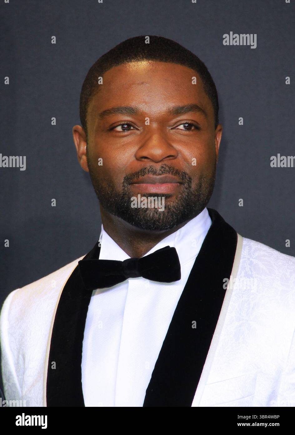 26 febbraio 2017 - Hollywood, California, Stati Uniti - David Oyelowo posa nella sala stampa durante il 89° Annual Academy Awards al Loews Hollywood Hotel il 26 febbraio 2017 a Hollywood, California. (Immagine di credito: © T. Lowe/ZUMA Wire) Foto Stock
