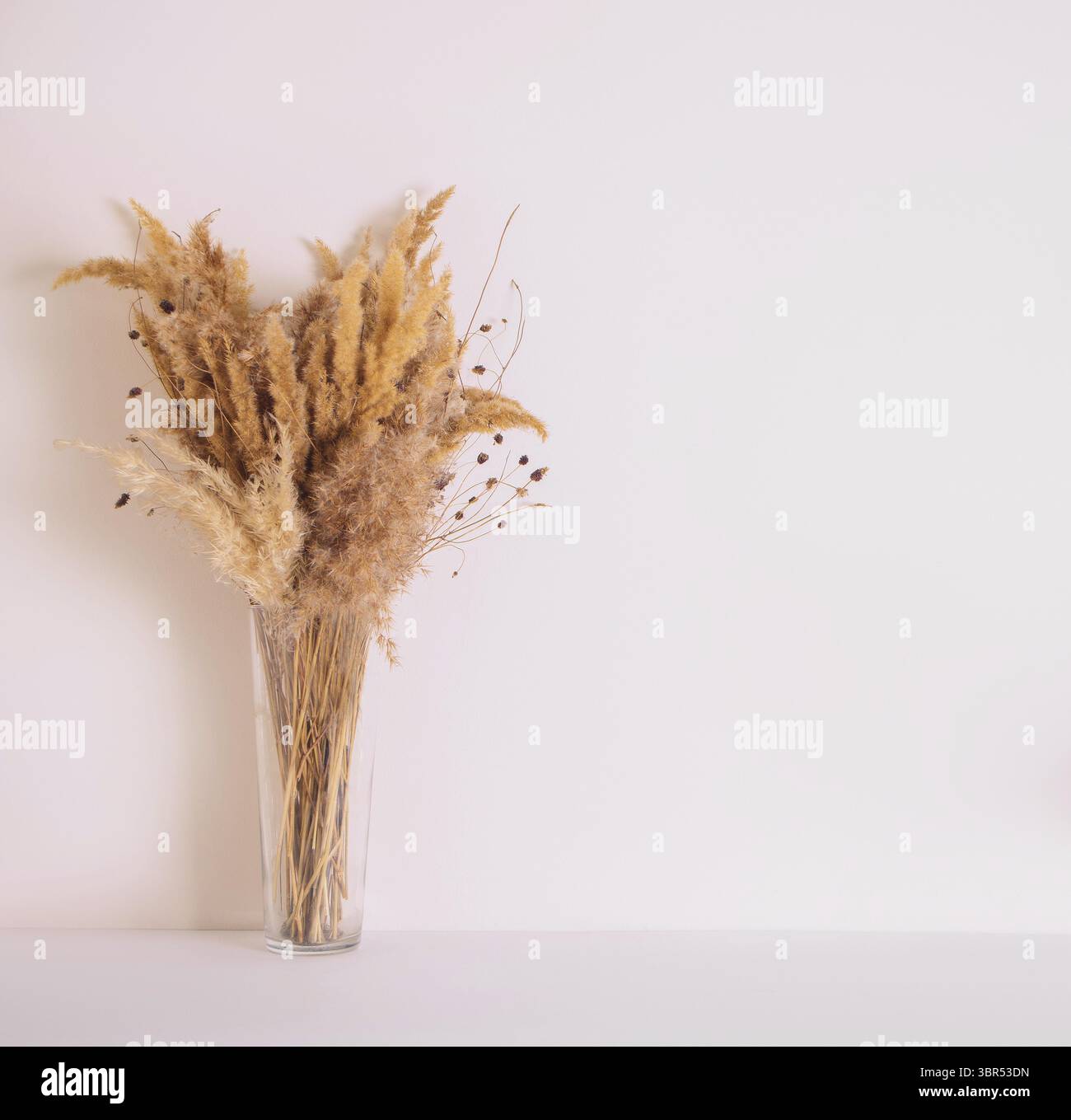 Trockene Blumen Pflanze Vase auf Buecherregal oder Schreibtisch weissem Hintergrund Foto Stock