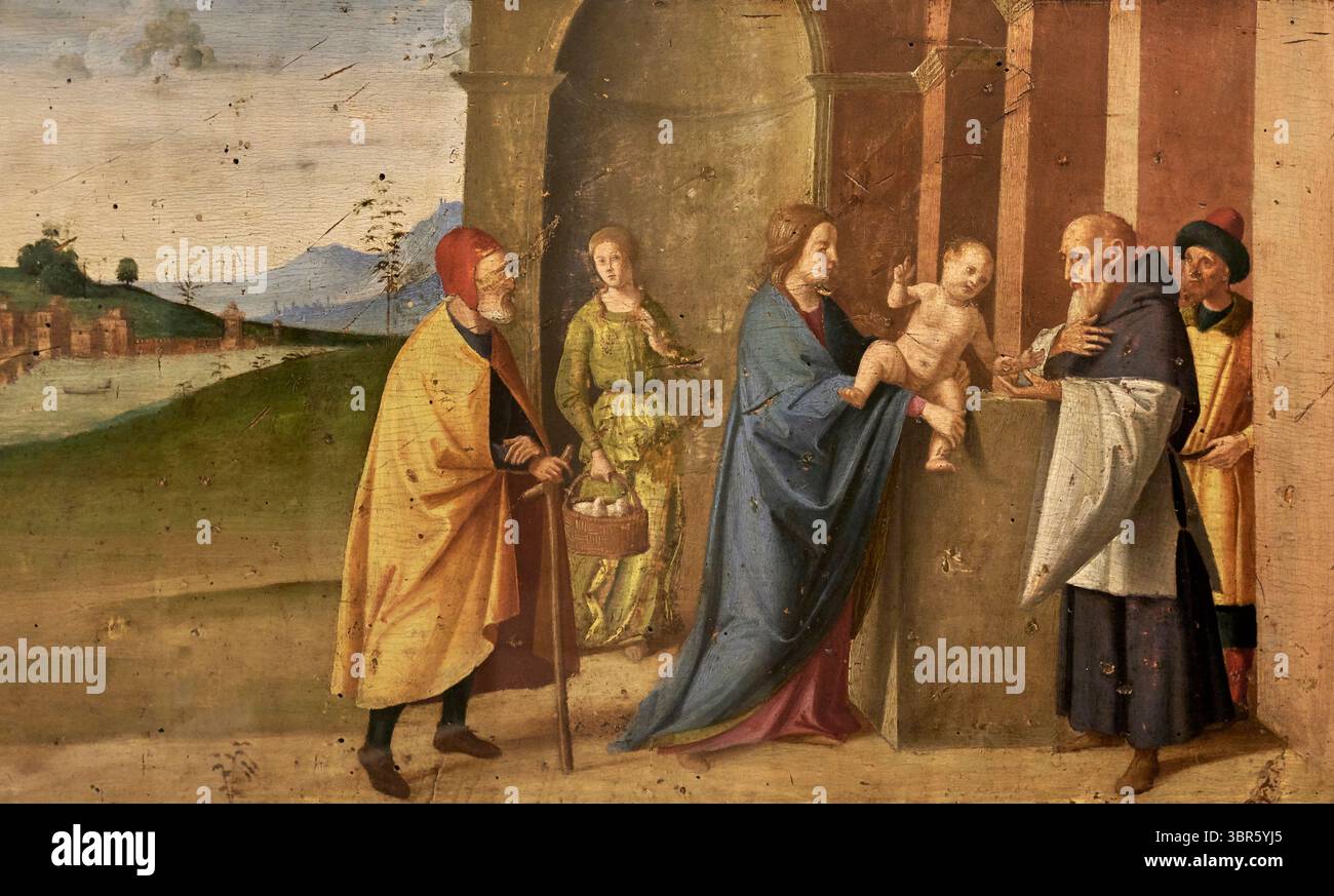 Presentazione di Gesù al tempio - tempera su tavola - Marco Palmezzano - XVI secolo - Ravenna, Mar, Museo d'Arte della Città di Ravenna Foto Stock