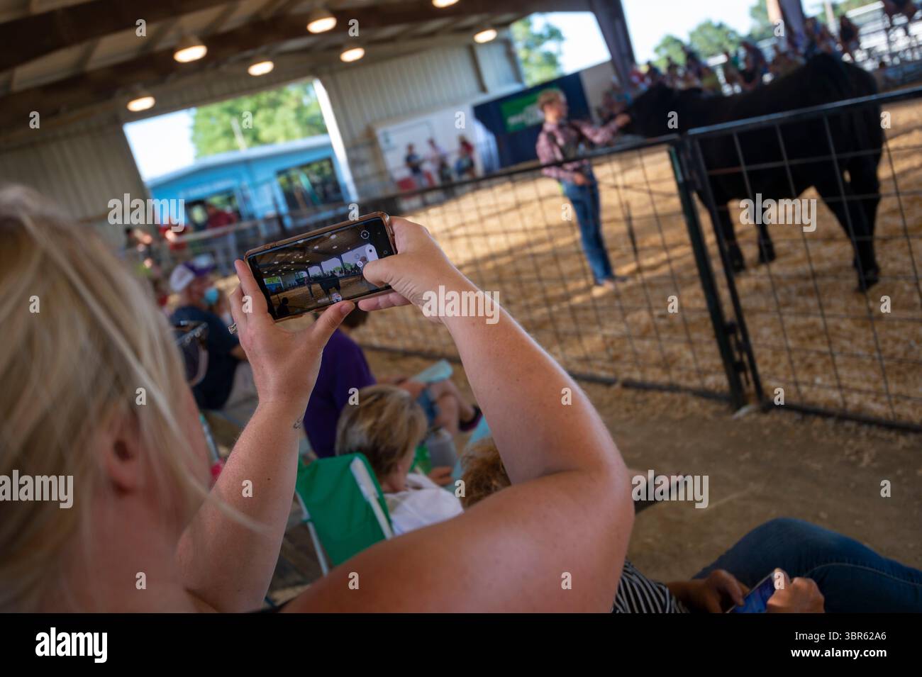 25 luglio 2020, Manhattan, Kansas, USA: JULIE SPLICHAL prende un video di sua figlia, KESTON KIRMER, 12 anni, mentre mostra la sua giovenca durante il 4-H Cattle Show a Hurlburt Hall il sabato. KIRMER ha preso un nastro blu per la prima classe nella categoria giovenca del 2° anno. A causa dell'aumento dei casi di covid-19, la Fiera della contea di Riley e il Rodeo sono stati annullati, tuttavia gli eventi 4-H sono continuati come previsto. Gary Fike, County Extension Director, ha implementato un modello di giudizio "come-and-go", in cui meno 4 persone erano nello spazio contemporaneamente e i partecipanti si sono iscritti ai tempi di giudizio online. A differenza degli anni passati, ecco qua Foto Stock