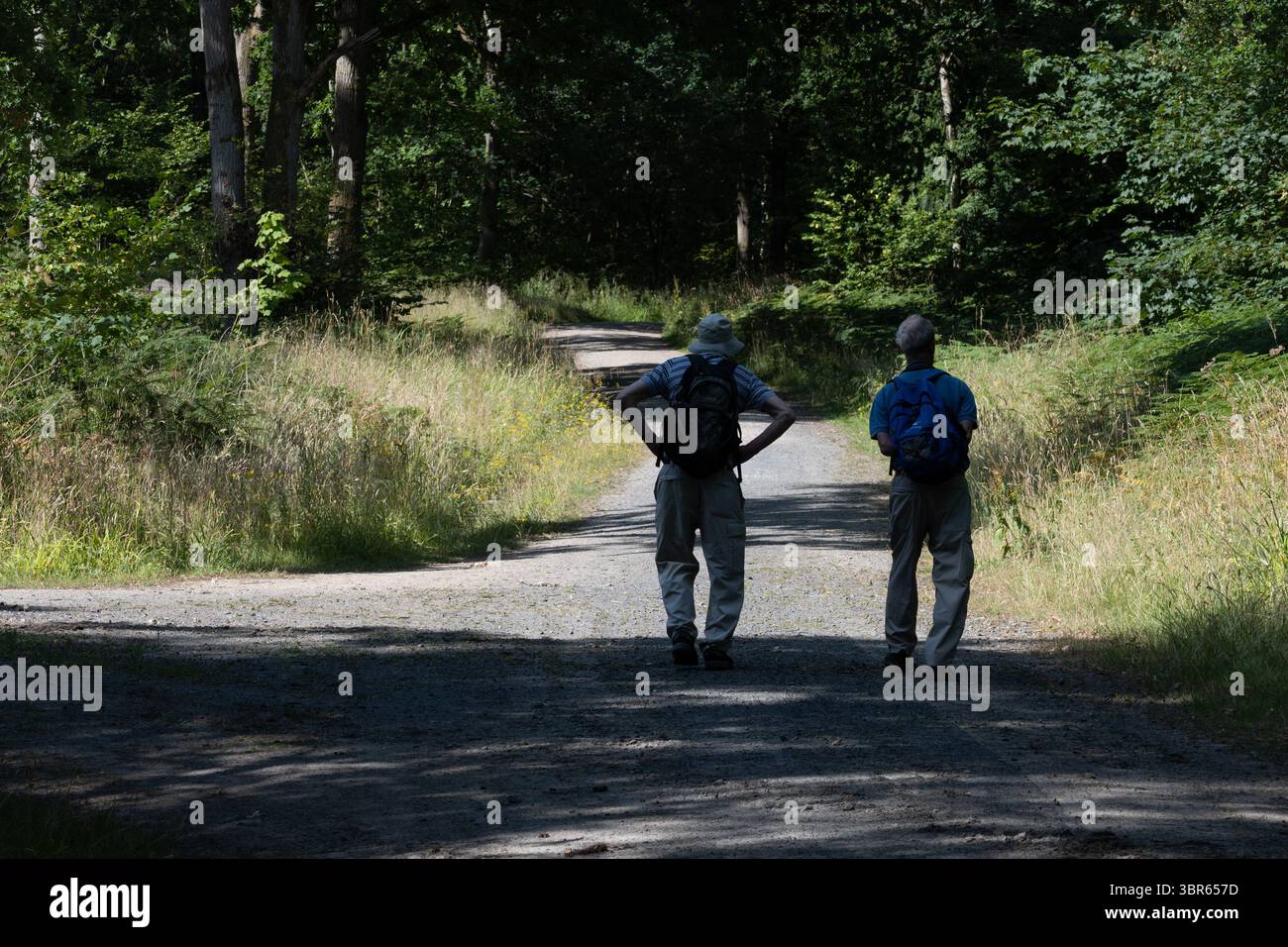 Naturalisti che camminano a Oversley Wood, Warwickshire, Regno Unito Foto Stock