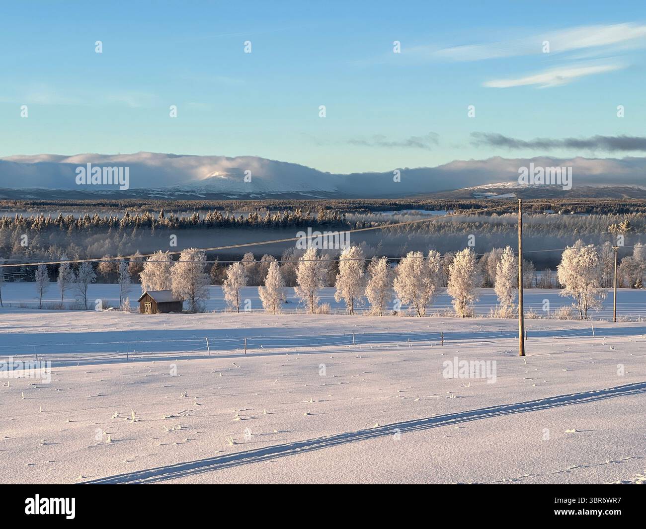 Paesaggio invernale con una piccola cabina, neve e alberi sotto un cielo azzurro. - Immagine stock catturata con smartphone