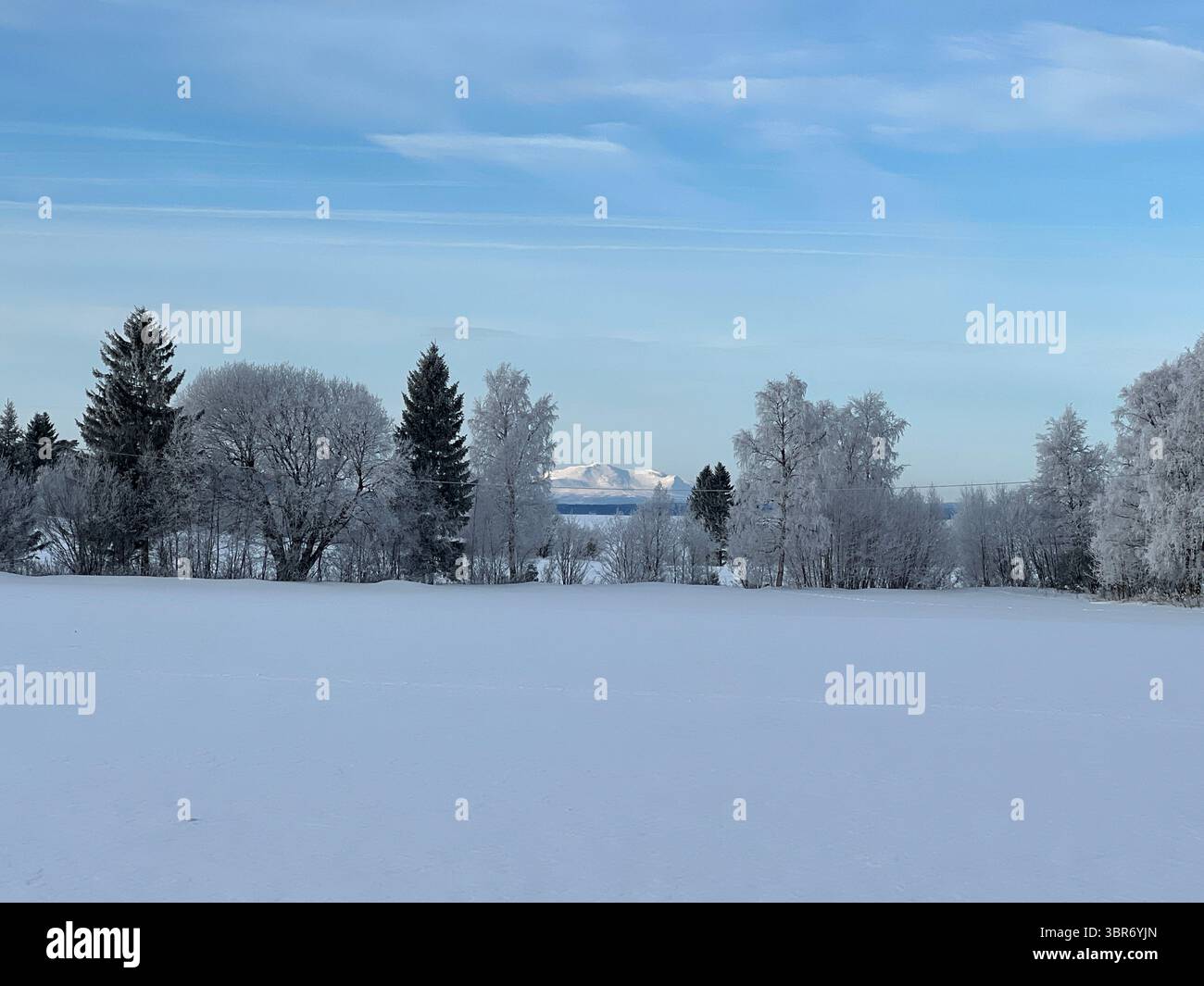 Paesaggio invernale con una piccola cabina, neve e alberi sotto un cielo azzurro. - Immagine stock catturata con smartphone