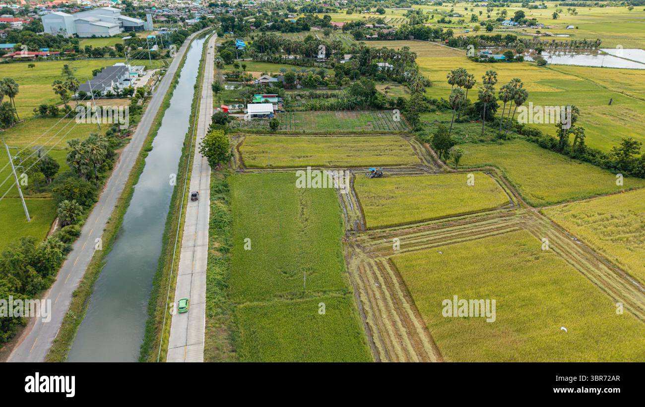 Mietitrebbiatrice che lavora lungo il canale di irrigazione e la strada Foto Stock