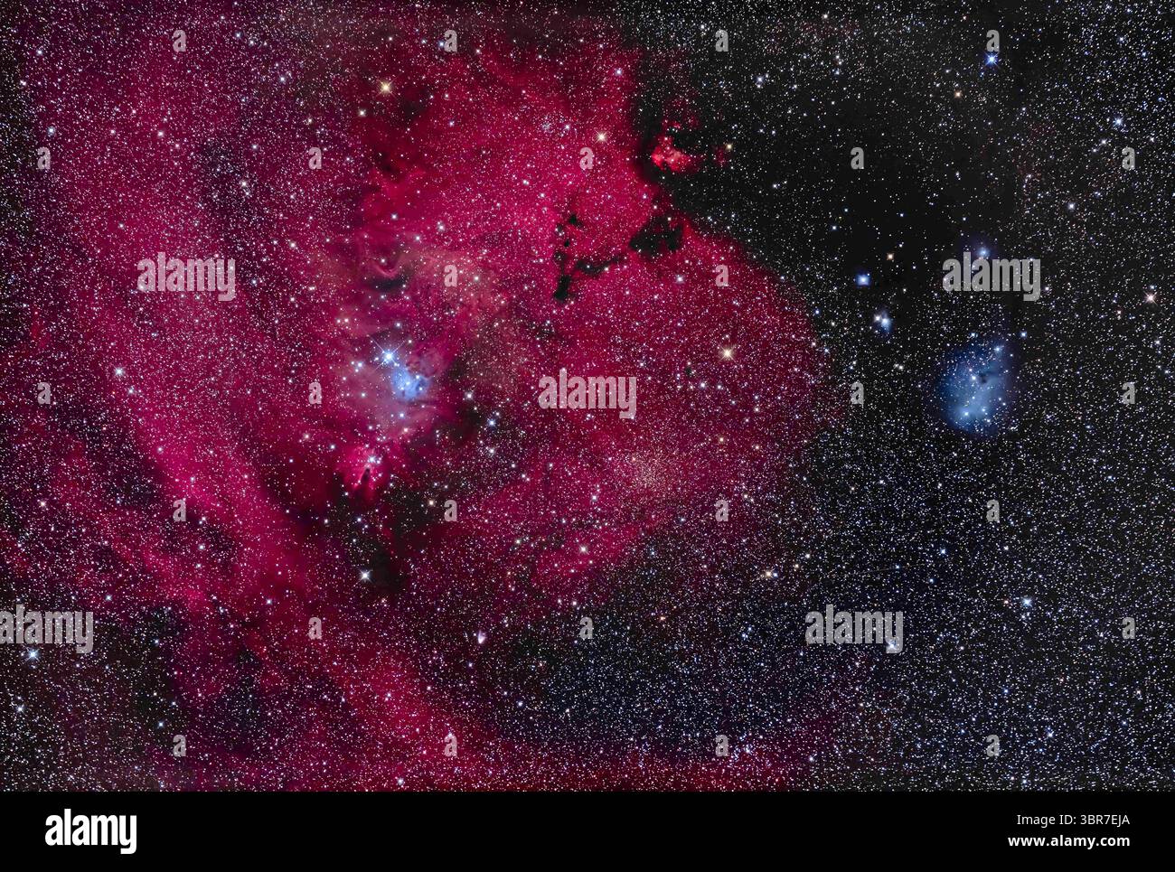 26 gennaio 2020, Alberta, Canada: Questa è la regione ricca di nebulose nella costellazione di Monoceros l'unicorno con la nebulosa del cono scuro (a sinistra del centro) e la piccola nebulosa variabile a forma di V e luminosa Hubbleâ sul fondo, una nebulosa a riflessione che varia in forma e luminosità. Sopra la Nebulosa del cono si trova il Cluster triangolare dell'albero di Natale, NGC 2264, qui capovolto, mentre la stella blu 15 Mon è la base dell'albero. La grande regione di nebulosità è Sharpless 2-273. La nebulosa scura a forma di V sopra il centro è LDN 1603. Vicino a 15 Mon c'è una nebulosa blu riflessa. Un altro riflesso blu n Foto Stock