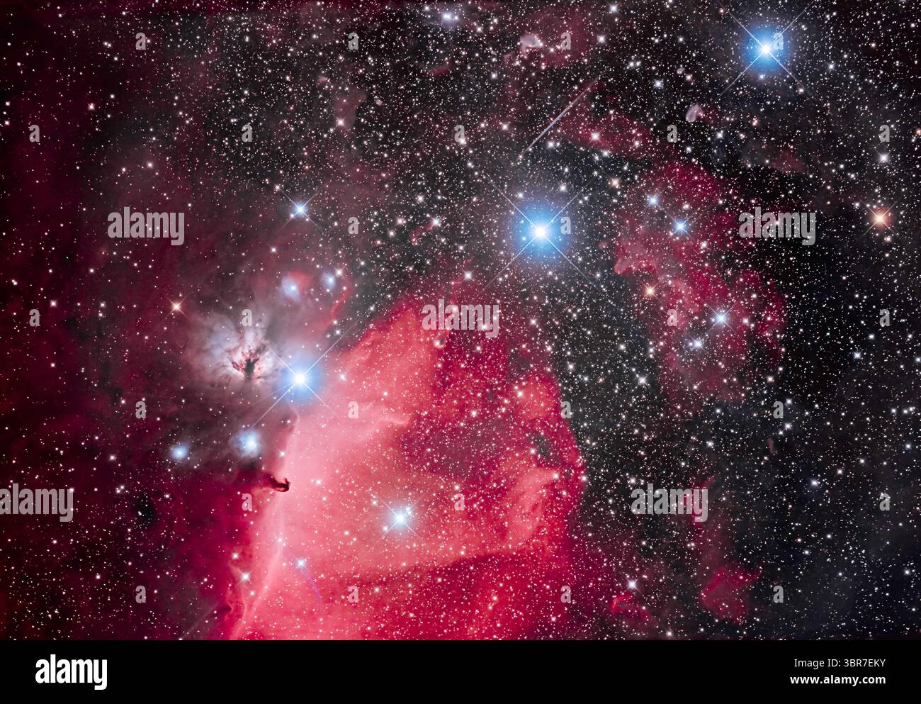 27 gennaio 2020, Alberta, Canada: Questa è la cintura di Orion con le sue tre stelle blu sulla parte superiore della cornice (da L a R: Alnitak, Alnilam e Mintaka), con l'iconica Nebulosa a testa di cavallo (nota anche come B33) sotto Alnitak, con la testa di cavallo scura contro la nebulosa luminosa IC 434, detta Orionâ€™S Dagger. La nebulosa rosa sopra Alnitak è NGC 2024, la nebulosa fiamma. La piccola nebulosa blu a riflessione sinistra della testa di cavallo è NGC 2023, con IC 435 più piccolo a sinistra. Il campo viene riempito con il grande cluster aperto Collinder 70. La stella multipla in basso a sinistra del centro è Sigma Orionis. Molti altri Foto Stock