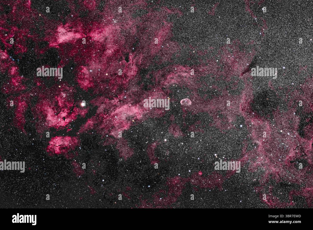 16 maggio 2020, Alberta, Canada: Questa è l'area centrale di Cygnus e la sua luminosa via Lattea, circondata da nebulosità rossa. A sinistra si trova la stella Sadr (gamma Cygni) con il complesso di nebulosità catalogato come IC 1318. Al centro si trova la Nebulosa Crescent, NGC 6888, una nebulosa in espansione creata dai venti di una stella calda di Wolf-Rayet. In basso a sinistra c'è l'ammasso stellare Messier 29, anche se sembra un po' perso nei ricchi campi stellari. In cima si trova il cluster IC 1311, più ovvio di M29 ma non osservato visivamente e incluso nel catalogo NGC. Strano. All'estrema destra ci sono i grandi Foto Stock