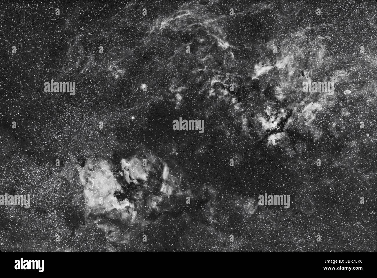 10 giugno 2020, Alberta, Canada: Questa è la ricca nebulosità di Cygnus catturata nella stretta luce rossa dell'emissione di idrogeno alfa e resa come immagine monocromatica. In basso a sinistra si trova la regione della Nebulosa del Nord America, NGC 7000, e in alto a destra si trova il complesso intorno a gamma Cygni, chiamato IC 1318. All'estrema destra si trova la Crescent Nebula, NGC 6888. La stella luminosa Deneb è a sinistra del centro, anche se leggermente oscurata in quanto si tratta di una stella blu e quindi appare meno prominente in luce rossa. Questo è con il teleobiettivo Canon serie L da 135 mm completamente aperto a f/2 e con la fotocamera Canon EOS Ra sensibile al rosso, per Foto Stock