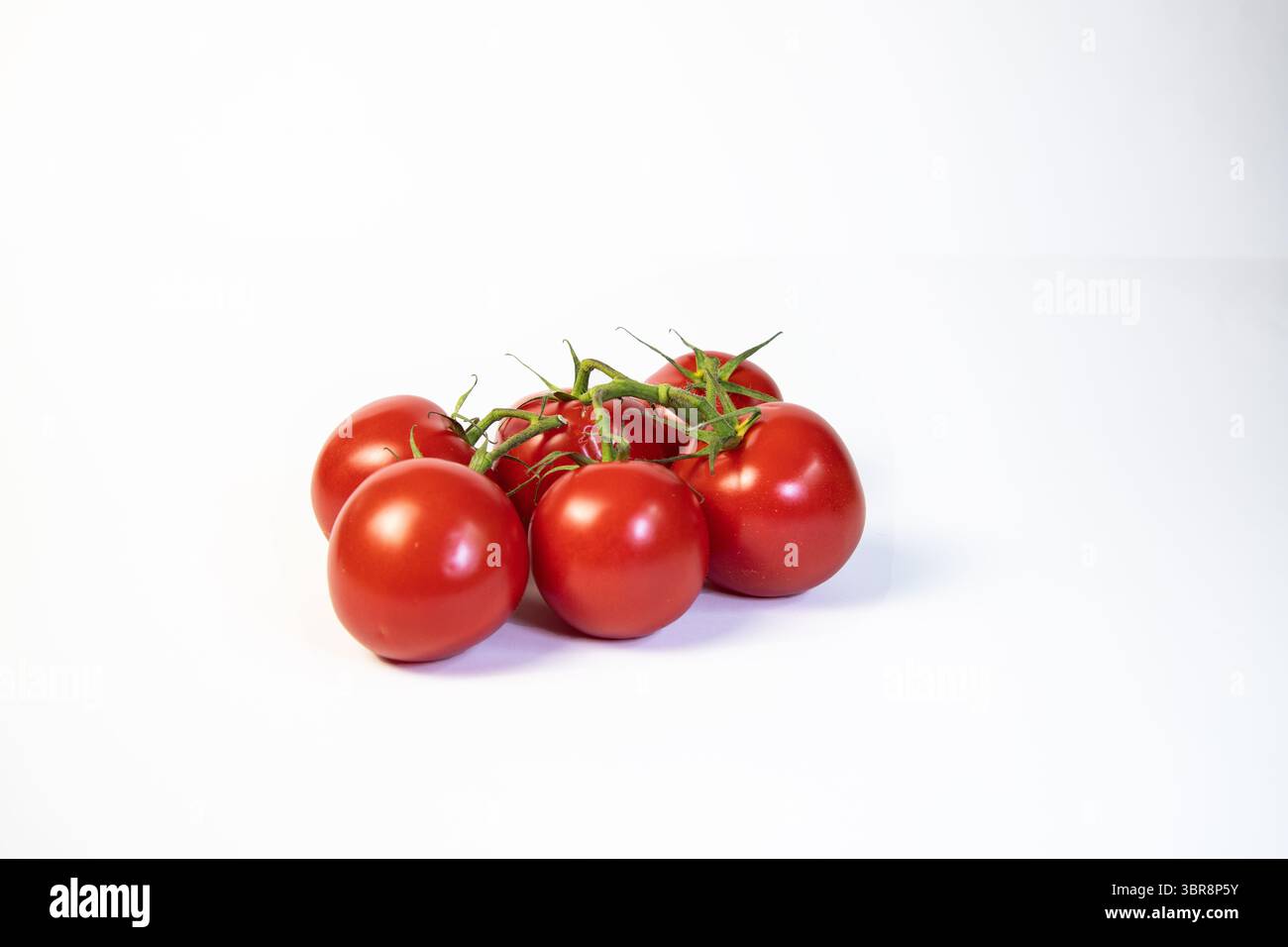 Sei pomodori freschi maturati in vite su sfondo bianco, che mostrano il loro vivace colore rosso e i gambi verdi, perfetti per cucinare, insalate o mangiare sano Foto Stock