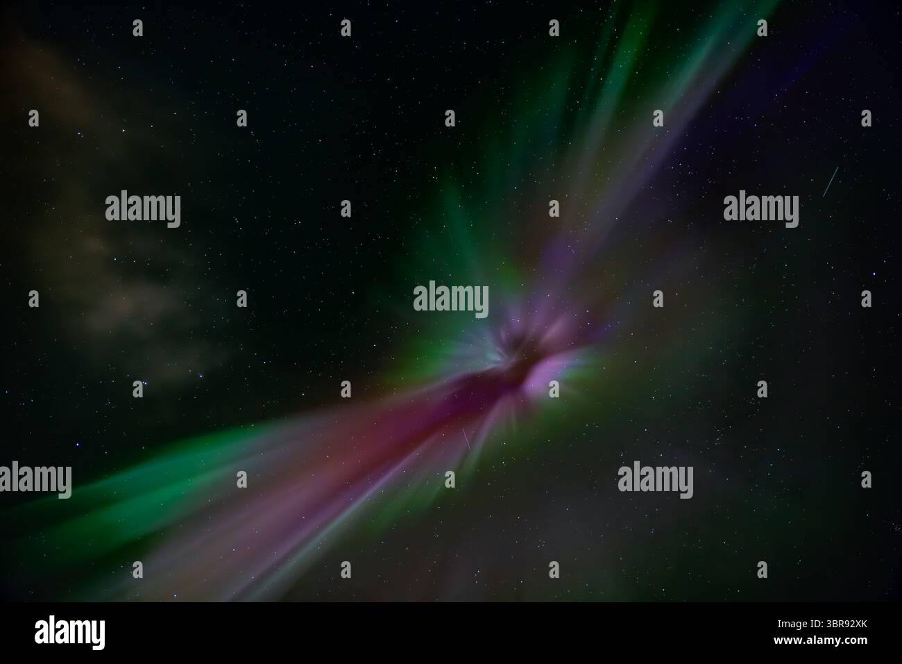 La vista dell'eterea aurora boreale dipinge il cielo notturno con vivaci tratti di verde, rosa e viola, sullo sfondo di stelle scintillanti, Reykjavík, Reykjavíkurborg, Islanda. Foto Stock