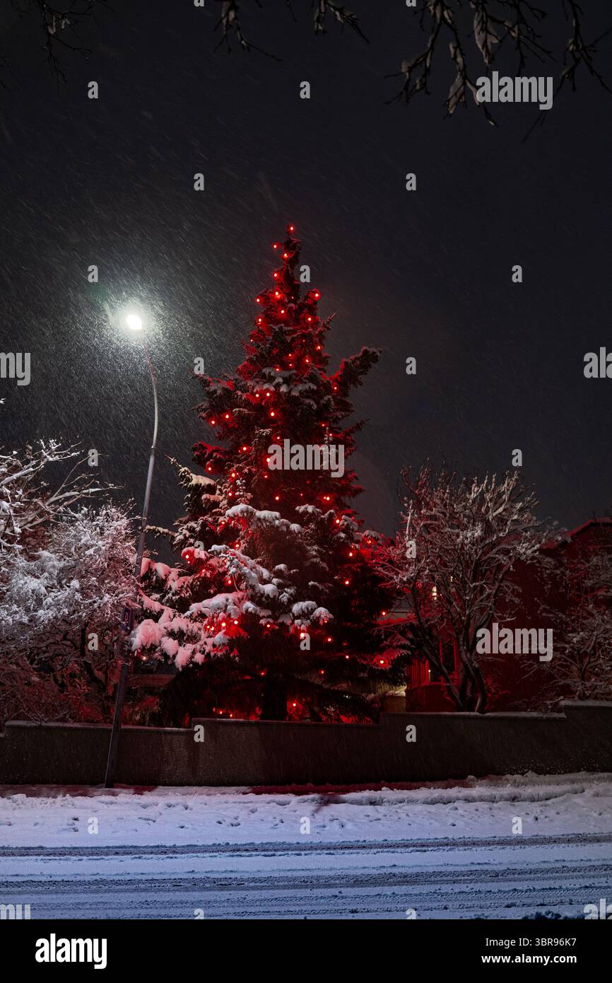 La vista di un albero di Natale adornato da vivaci luci rosse si erge radiosa contro il cielo notturno buio, ricoperto di neve, creando una scena festosa, Reykjavík, Reykjavíkurborg, Islanda. Foto Stock