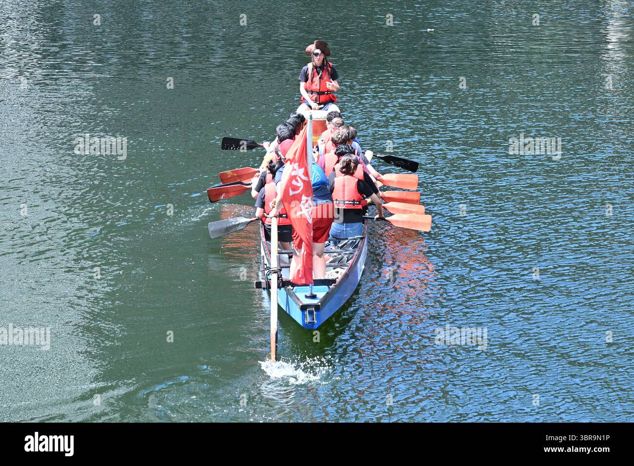 Dragon Boat Racing per conto di WaterAid nei moli di Canary Wharf - Londra Regno Unito Foto Stock