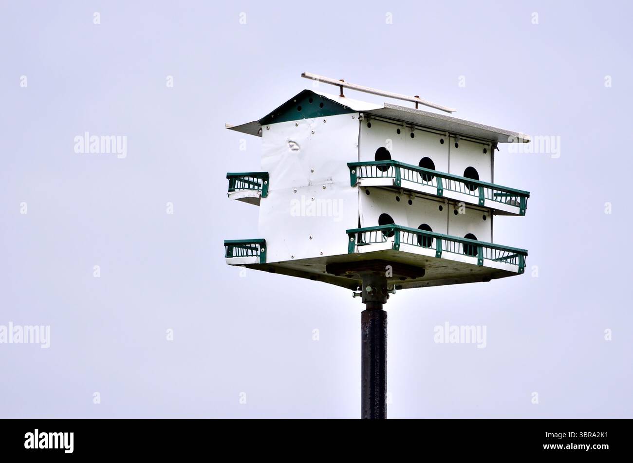 Vista ravvicinata di una casa per uccelli martin bianca e viola, su un cielo grigio chiaro Foto Stock