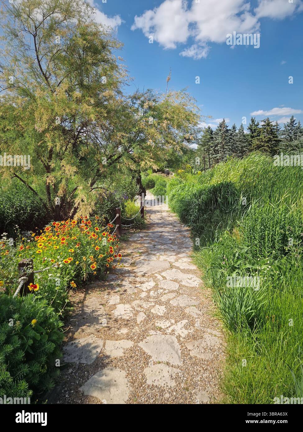 Percorso tortuoso in pietra attraverso un vivace giardino con piante verdi e fiori colorati su entrambi i lati, sotto un cielo blu luminoso con soffici nuvole bianche. A. Foto Stock