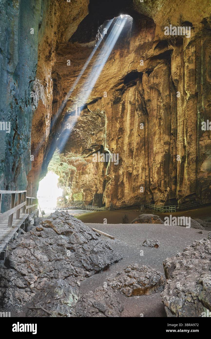 All'interno delle Grotte di Gomantong nel distretto di Sandakan, Sabah, Borneo, Malesia. Foto Stock