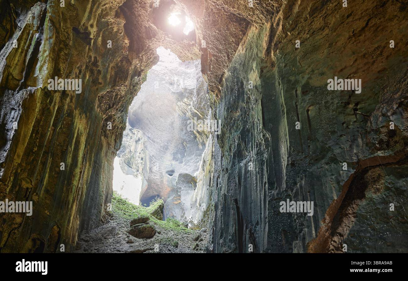 All'interno delle Grotte di Gomantong nel distretto di Sandakan, Sabah, Borneo, Malesia. Foto Stock