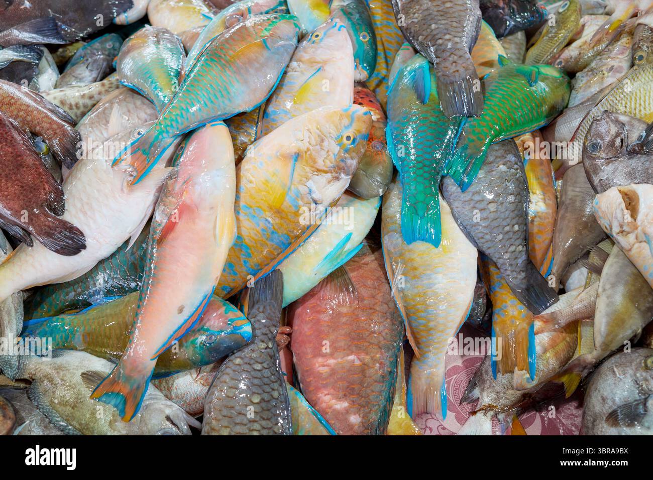 Pesce di mare appena pescato in un mercato, Borneo, Malesia. Foto Stock