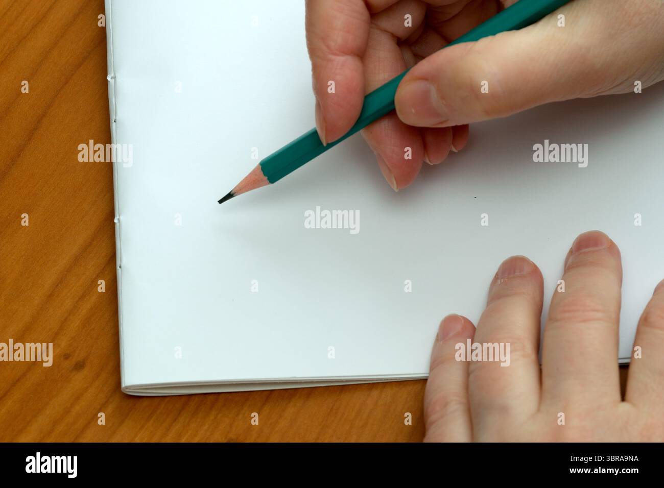 Una mano afferra una matita colorata adagiata su una pagina vuota, pronta a creare arte. Foto Stock
