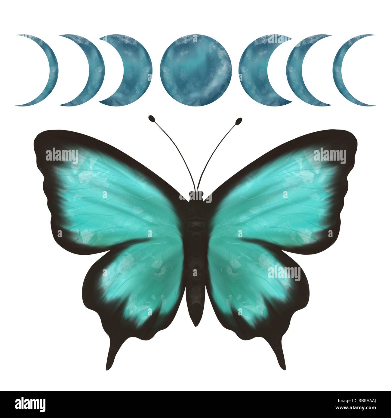 Meravigliose fasi turchesi e verdi di farfalla e luna. Illustrazione digitale fatta a mano, oggetto isolato Foto Stock Meravigliose fasi turchesi e verdi di farfalla e luna. Illustrazione digitale fatta a mano, oggetto isolato Foto Stock