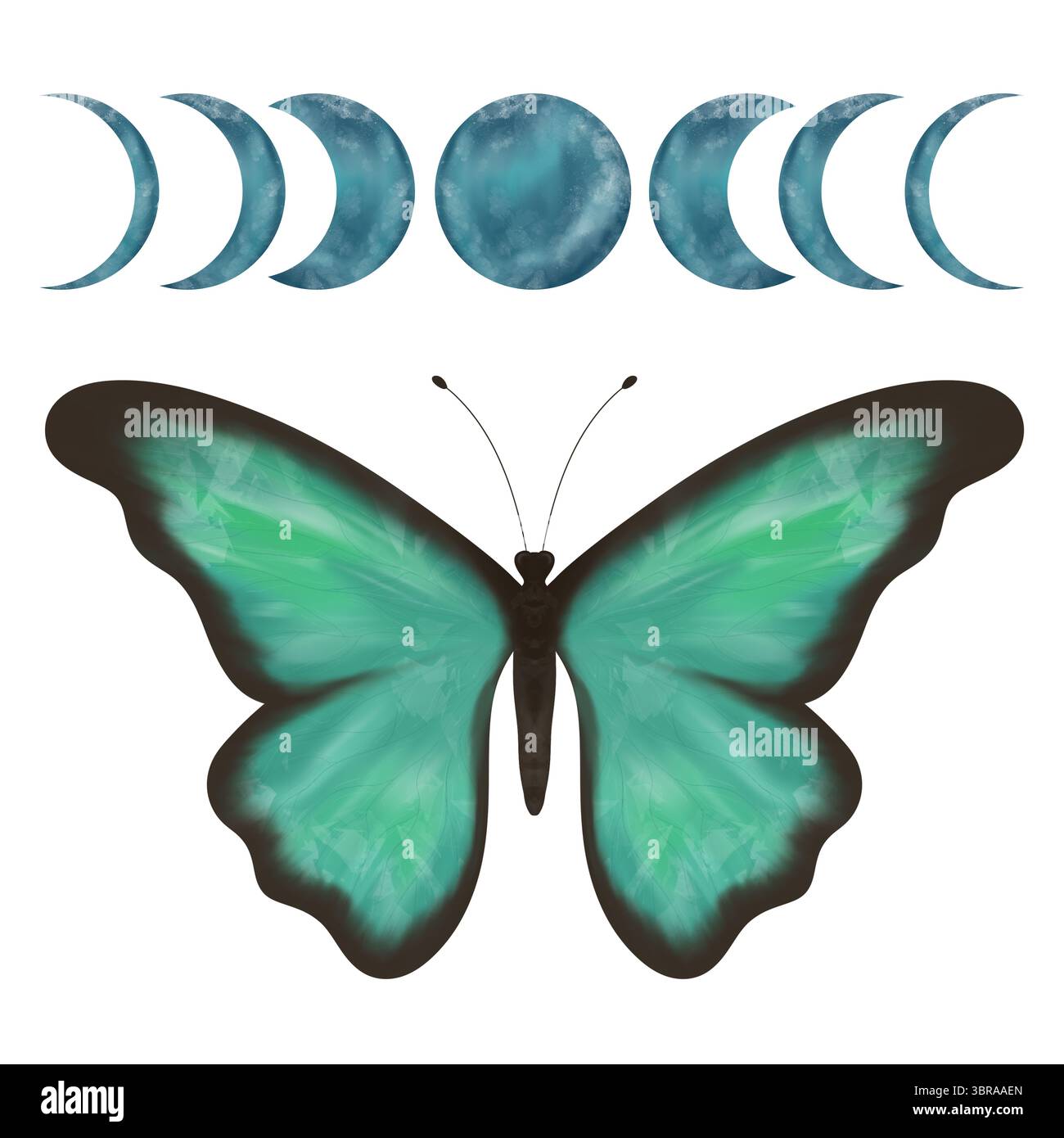Meravigliose fasi turchesi e verdi di farfalla e luna. Illustrazione digitale fatta a mano, oggetti isolati Foto Stock Meravigliose fasi turchesi e verdi di farfalla e luna. Illustrazione digitale fatta a mano, oggetti isolati Foto Stock