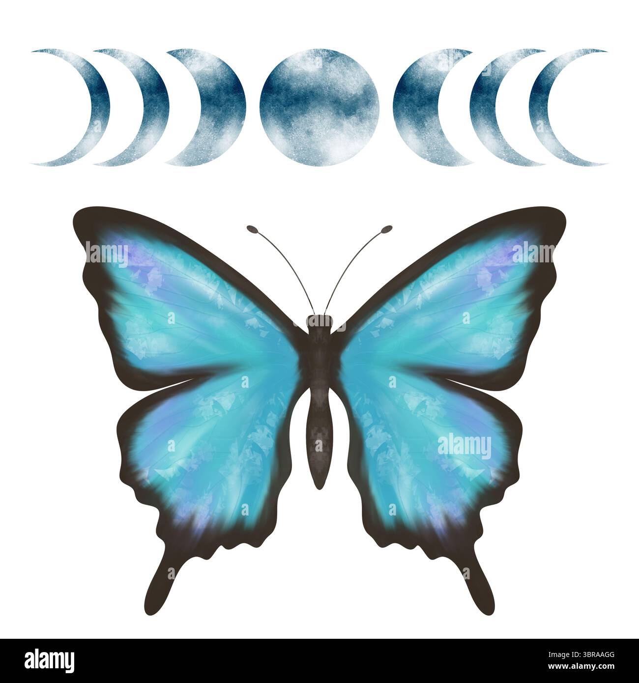 Meravigliose fasi turchesi e blu della farfalla e della luna. Illustrazione digitale fatta a mano, oggetti isolati Foto Stock Meravigliose fasi turchesi e blu della farfalla e della luna. Illustrazione digitale fatta a mano, oggetti isolati Foto Stock