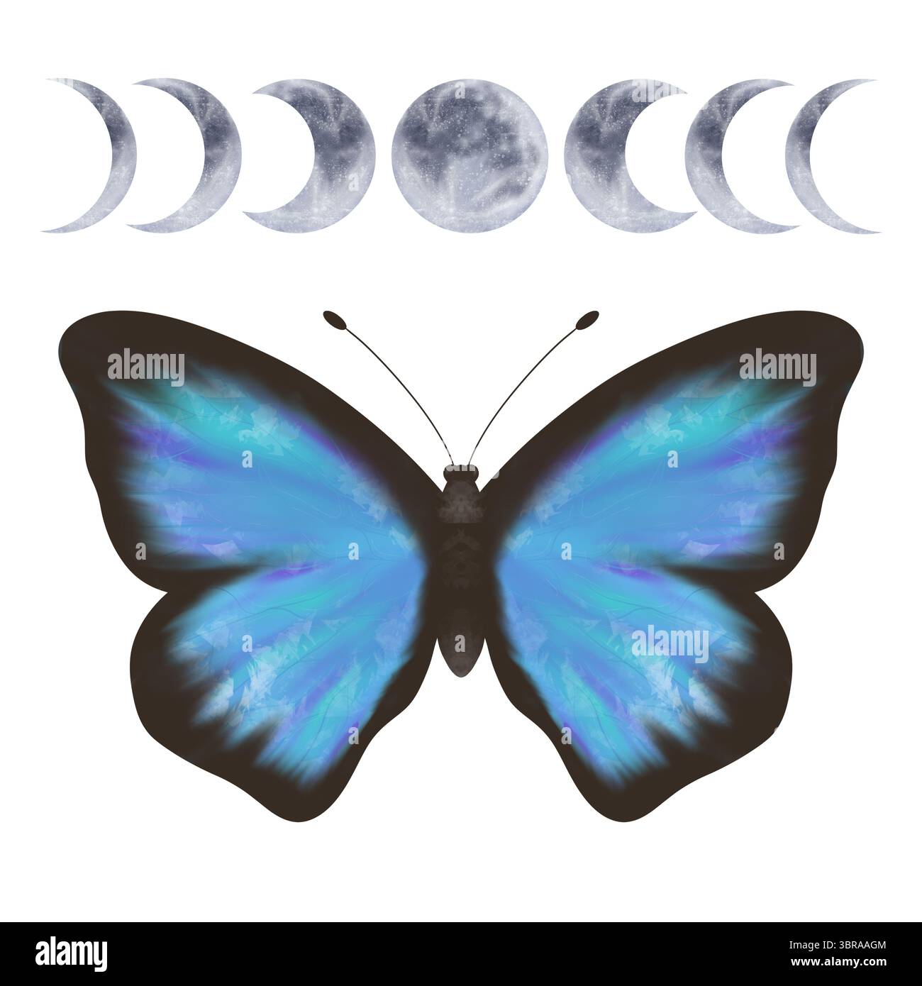 Meravigliose fasi turchesi e blu della farfalla e della luna. Illustrazione digitale fatta a mano, oggetti isolati Foto Stock Meravigliose fasi turchesi e blu della farfalla e della luna. Illustrazione digitale fatta a mano, oggetti isolati Foto Stock