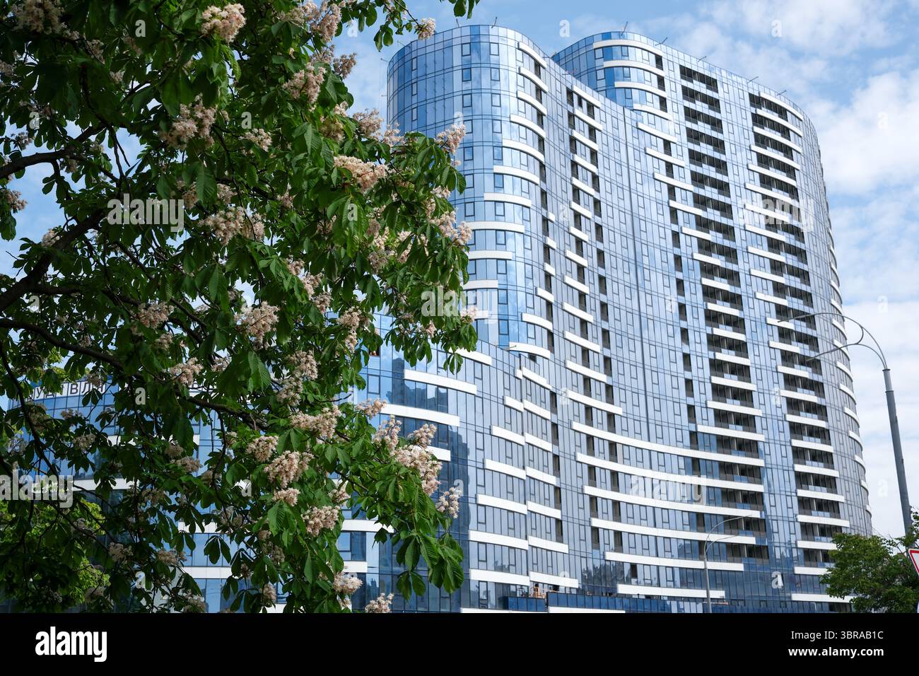 La facciata in vetro di un elegante e alto edificio contrasta con alberi in fiore in una giornata di sole. Foto Stock