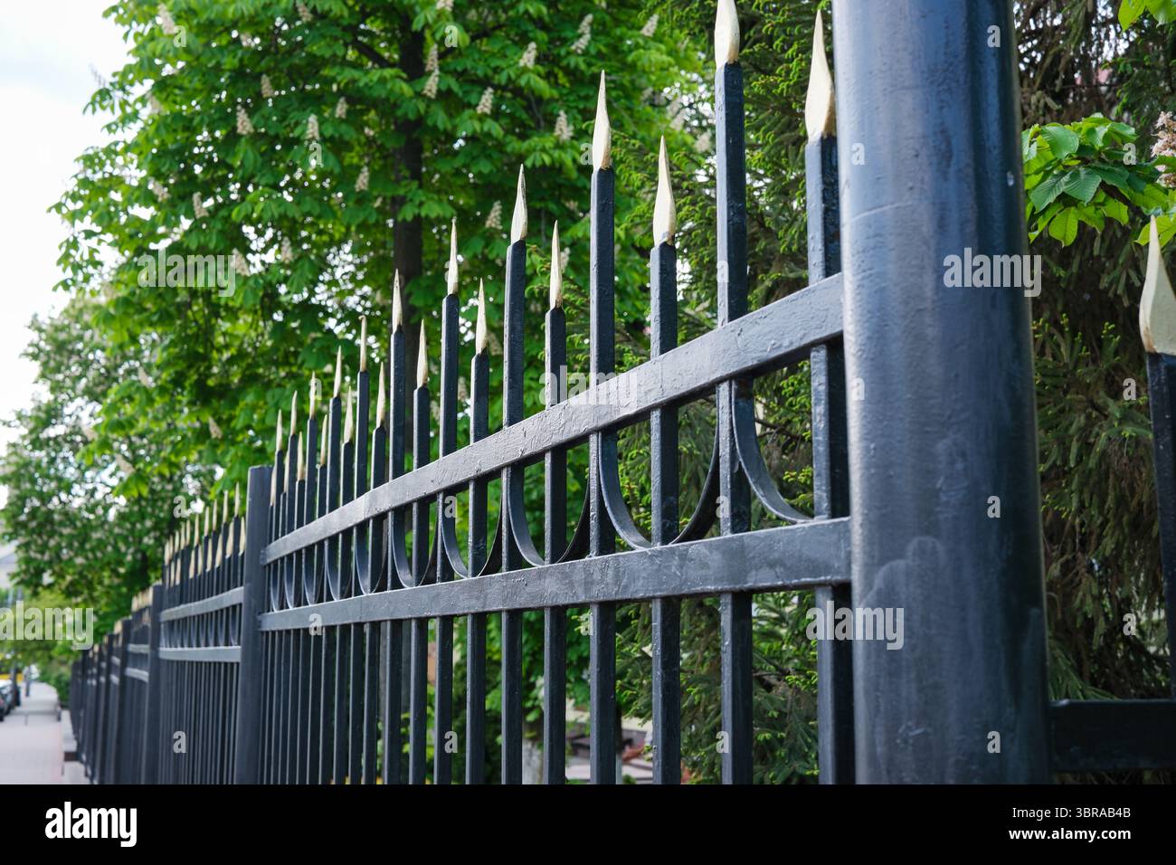 La recinzione in metallo nero delinea un sentiero, accentuato da alberi vibranti in una giornata di sole. Foto Stock