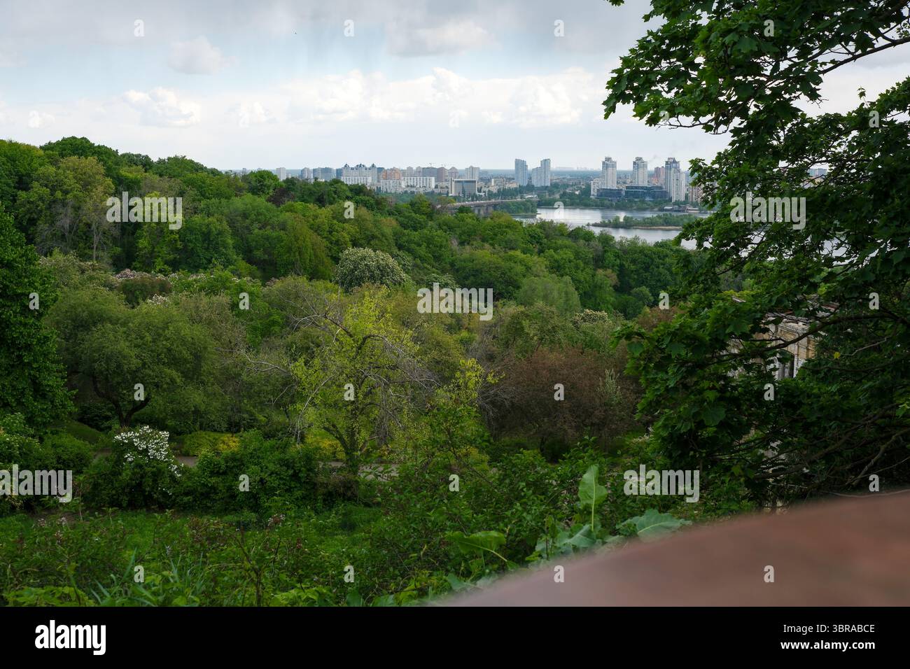 Alberi vibranti fioriscono in un parco sereno, in contrasto con il vivace paesaggio urbano che si estende oltre. Foto Stock