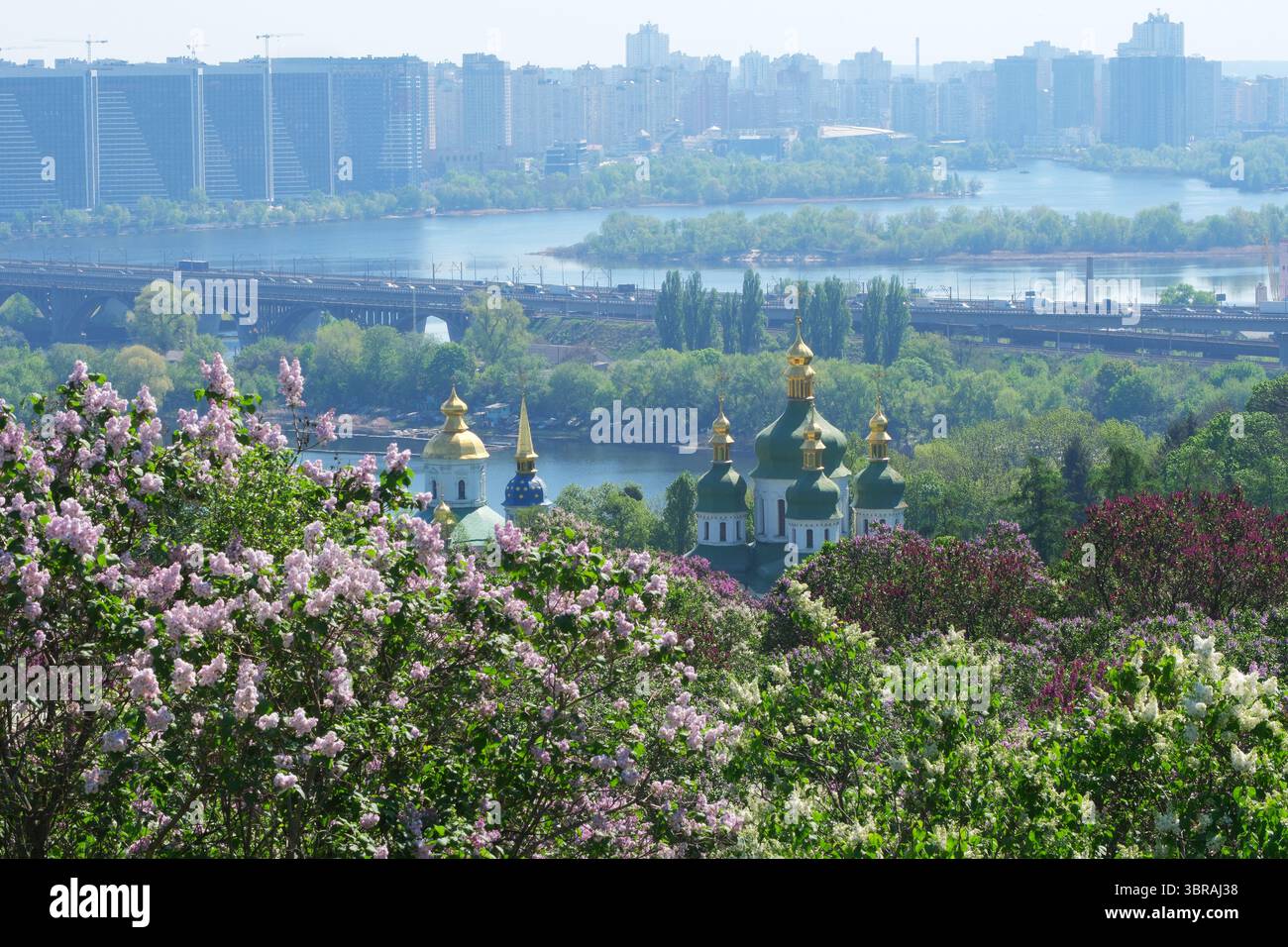 Le vivaci lillas fioriscono mentre le cupole dorate si innalzano sopra lo skyline, catturando la primavera. Foto Stock