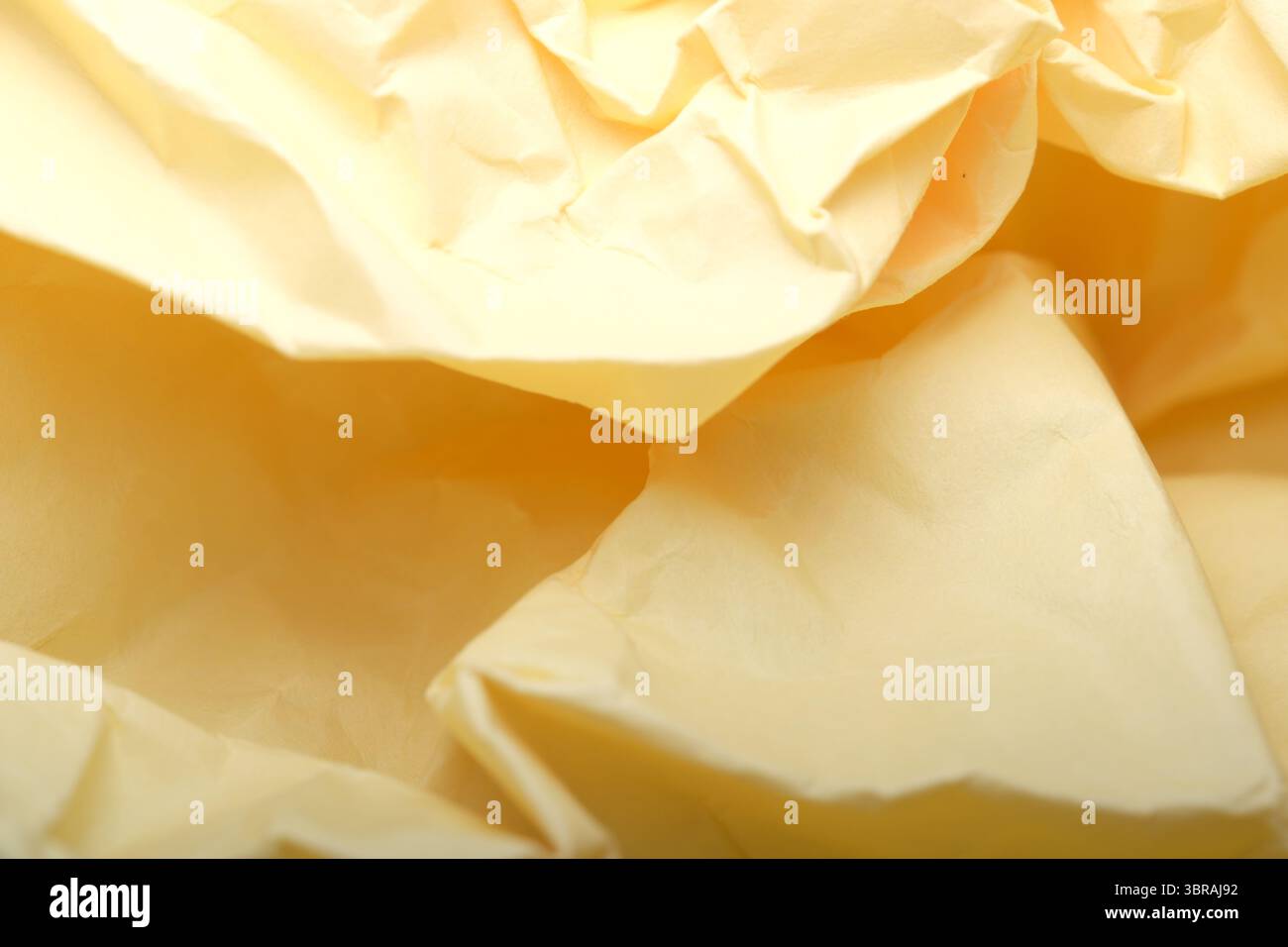Le delicate pieghe di carta gialla creano un'armonia visiva astratta. Foto Stock