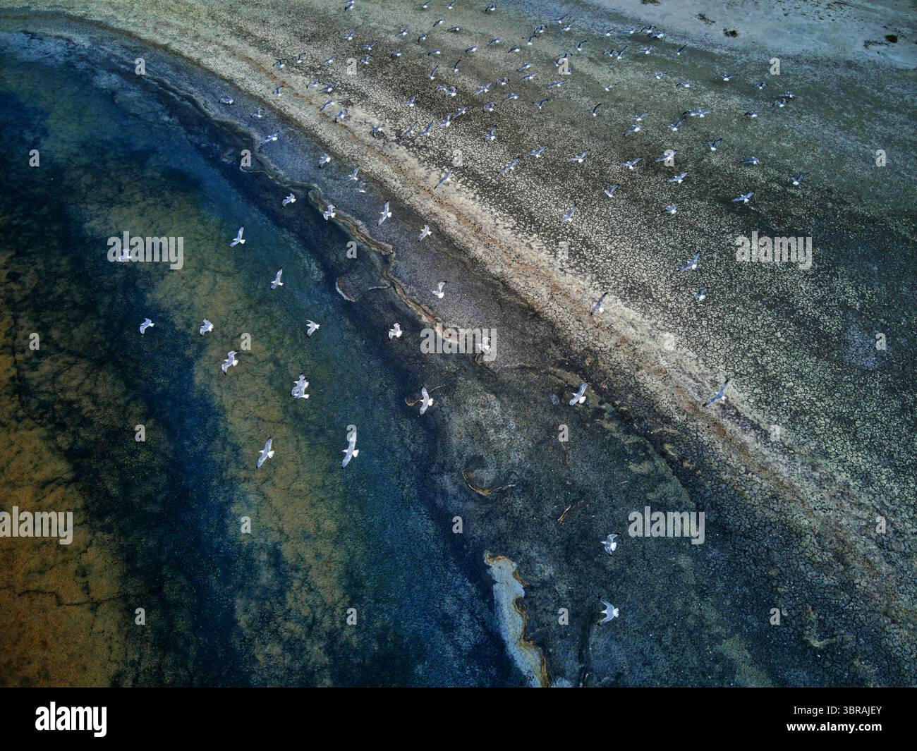 Vista aerea degli uccelli che volano sul terreno fangoso dove i colori si fondono in un mosaico testurizzato, Kalochori, Salonicco, Grecia. Foto Stock