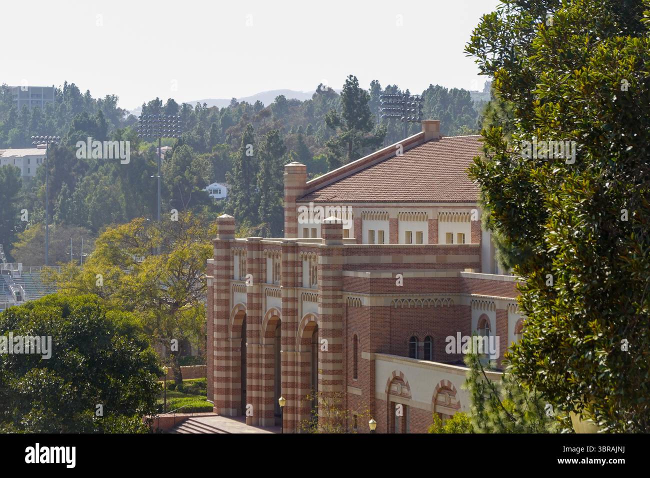 Dodd Hall sbircia attraverso la Sycamore Canopy Foto Stock