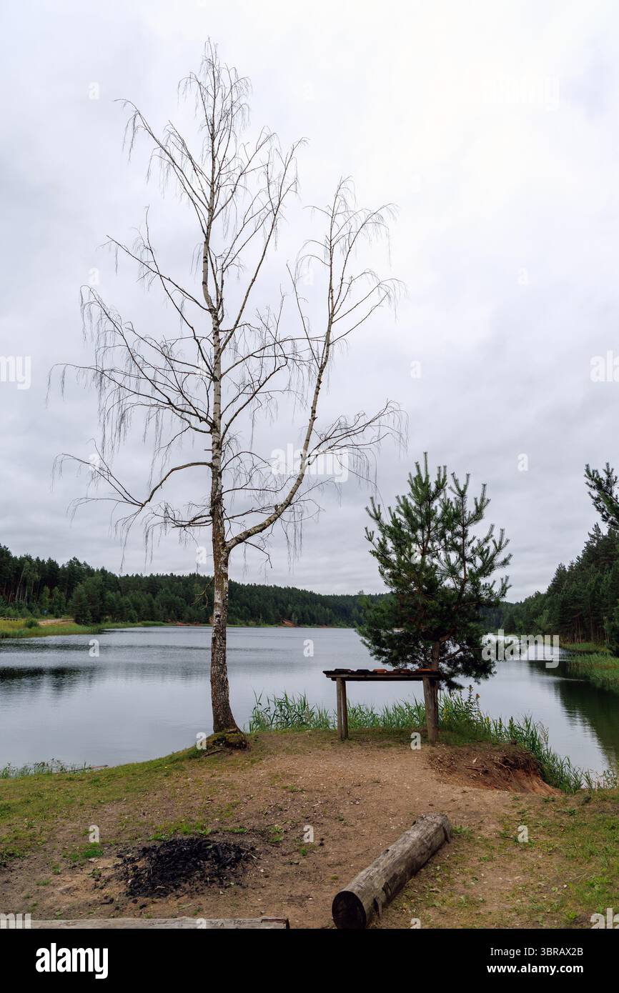 Un tranquillo lago caratterizzato da una betulla nuda, un piccolo pino, una panchina rustica e resti di fuoco sotto un cielo coperto. Foto Stock