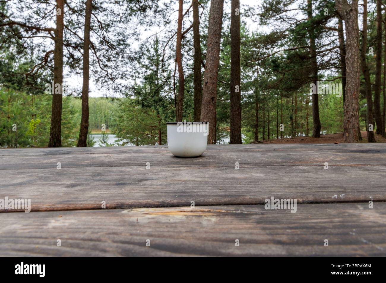 Una semplice tazza in smalto bianco siede su un tavolo da picnic in legno intempestivo, con una foresta sfocata e un lontano lago sullo sfondo. Foto Stock