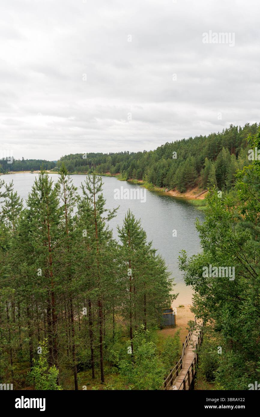 Una vista sopraelevata di un tranquillo lago con una spiaggia sabbiosa, circondato da una vasta pineta verde sotto un cielo coperto. Un sentiero in legno scende verso la t Foto Stock