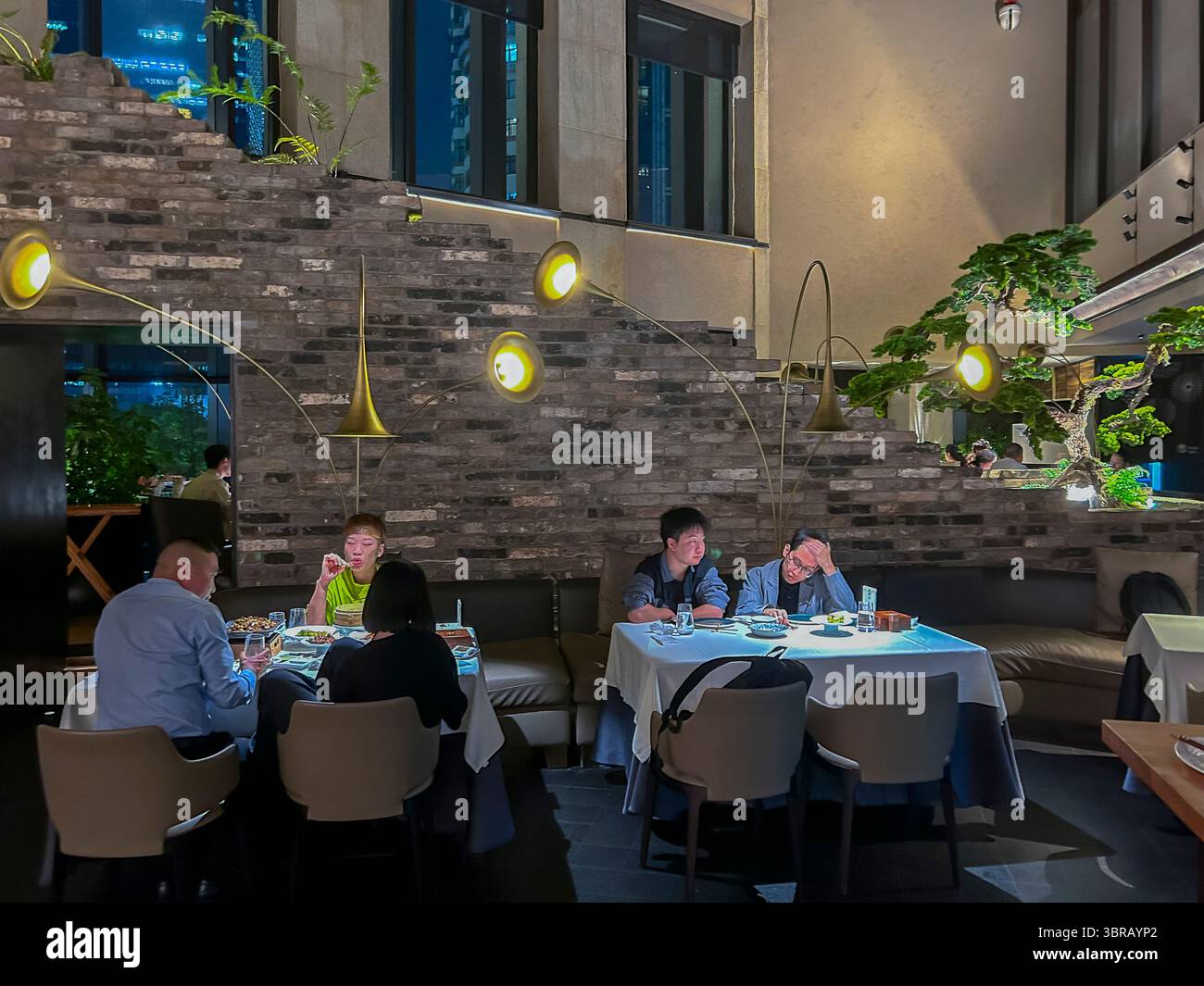 Shanghai, Cina, gruppi cinesi, seduti al tavolo nella sala da pranzo, ristorante cinese, 'Peking Chamber » pasti condivisi, pasti serali per giovani Foto Stock