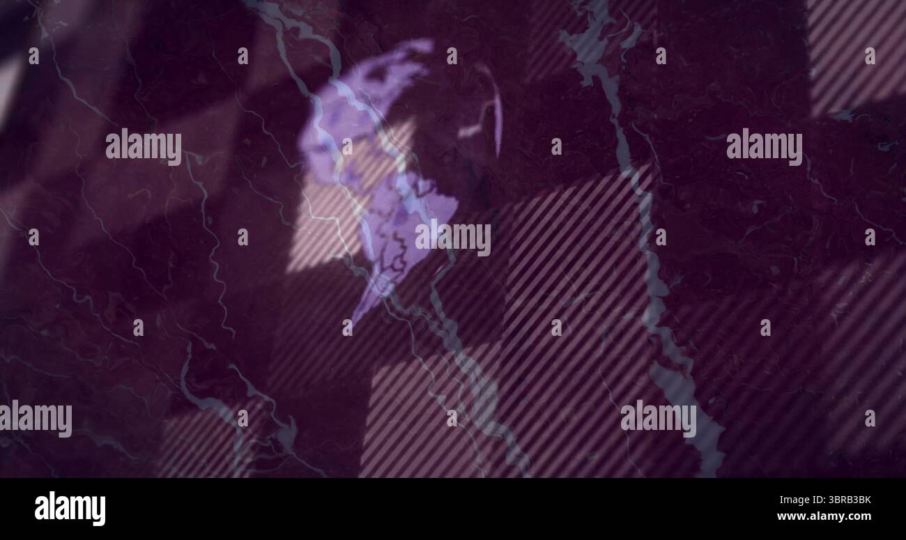 Visualizzazione di un motivo geometrico viola astratto che si dispiega nello spazio digitale, con accenti simili a vena Foto Stock