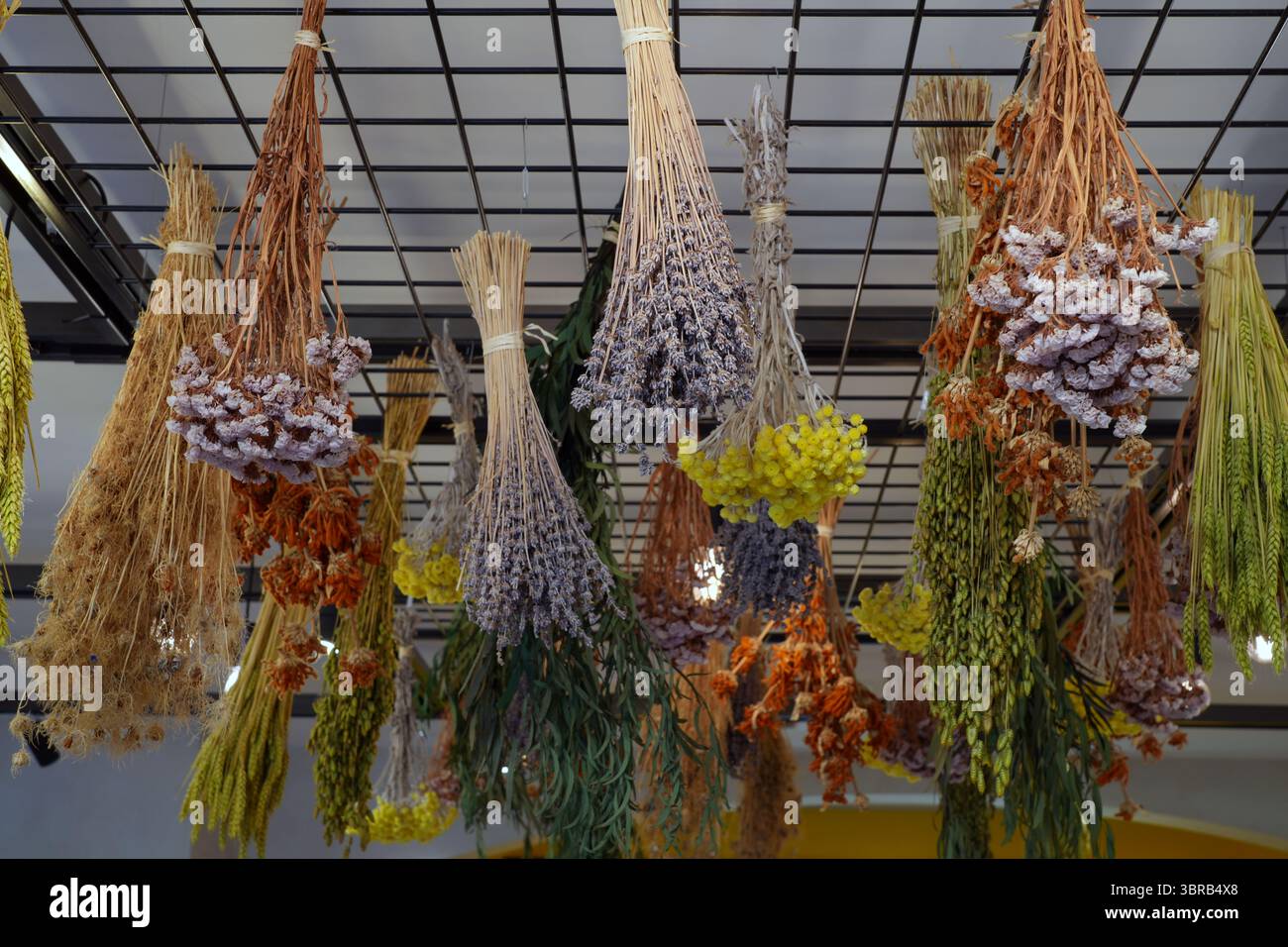 MANOSQUE, FRANCIA - 19 MAGGIO 2025 - Vista della fabbrica l'Occitane en Provence, aperta al pubblico, a Manosque, Alpes de Hautes Provence, Francia. L'Occitane Foto Stock