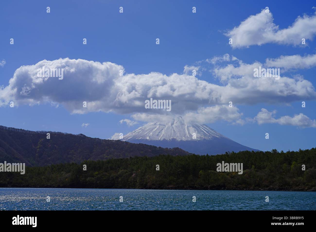 Vista primaverile del Lago Saiko (Lago Occidentale), uno dei cinque Laghi Fuji situato a Fujikawaguchiko nel sud della Prefettura di Yamanashi vicino al Monte Fuji, Japa Foto Stock