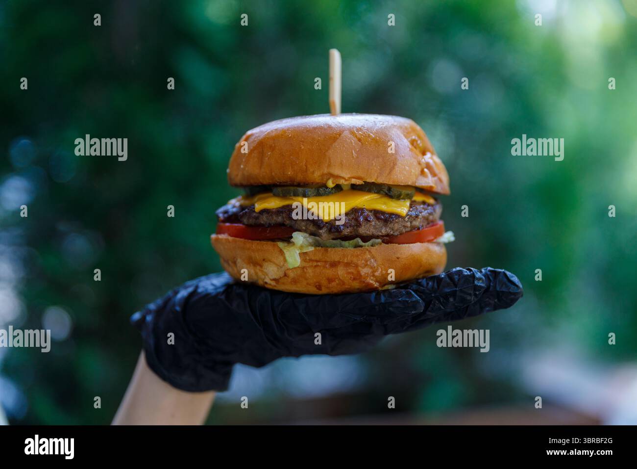 Cheeseburger realizzato con prelibatezze e ingredienti freschi in una mano, perfettamente presentato su uno splendido sfondo naturale per un'esperienza unica Foto Stock