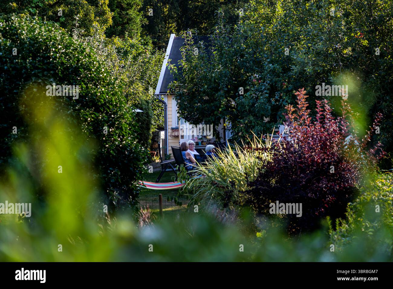 La Rothoffska Koloni funge da luogo d'incontro per amici e famiglia: due donne si rilassano su sedie da giardino davanti a un cottage giallo, visibile attraverso siepi dense. Fondata nel 1903 all'interno dell'ex cittadella di Landskrona, la colonia di orti è considerata il primo vero museo di orti della Svezia. Citadellvägen, Skåne, Svezia. Foto Stock